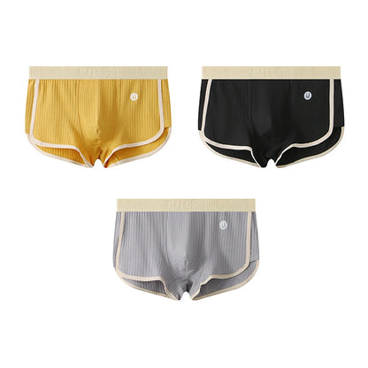 Pack Solid Striped Men's Boxer