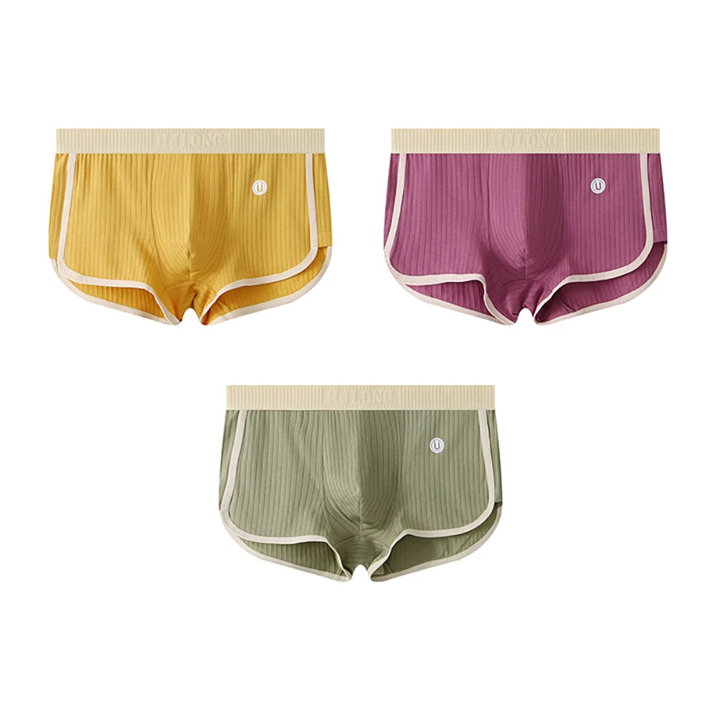 Pack Solid Striped Men's Boxer