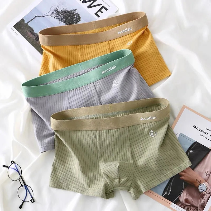 Men Panties Cotton Men's Underwear Boxers Breathable Man Boxer Printed Underpants Comfortable Elastic Shorts