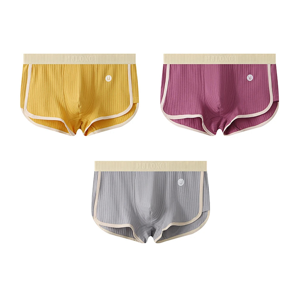 Pack Solid Striped Men's Boxer