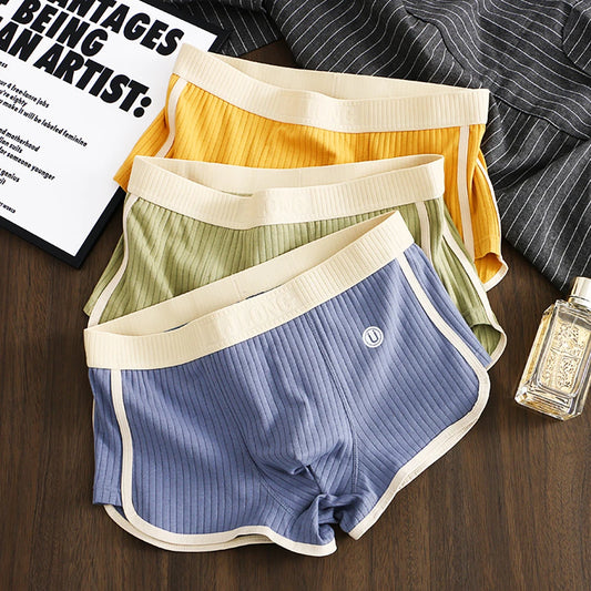 Pack Solid Striped Men's Boxer